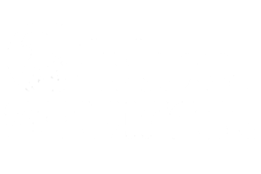 Blue Squirrel logo