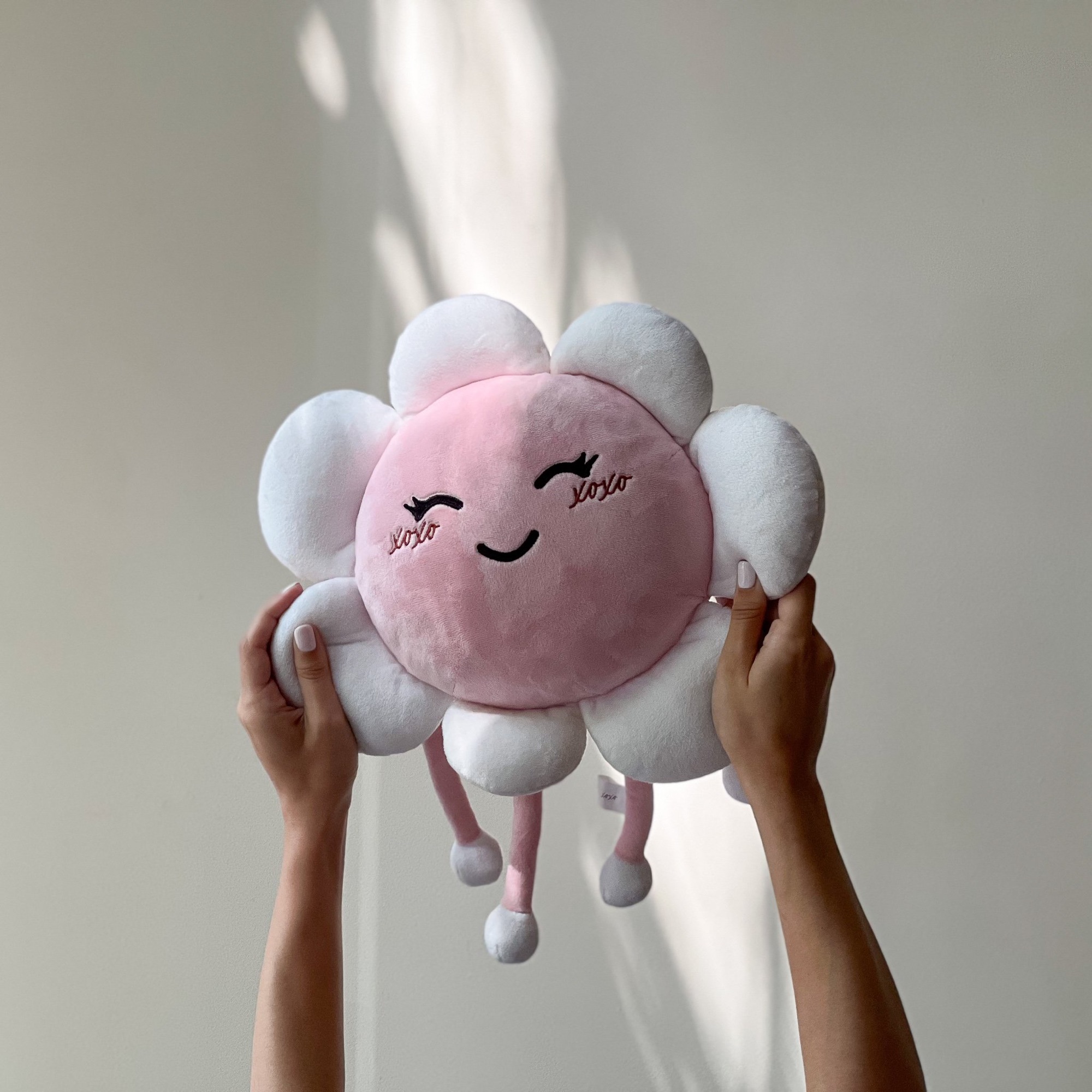 Hand holding a round, plush toy with a pink smiling face and white petal-like attachments, resembling a cheerful flower.